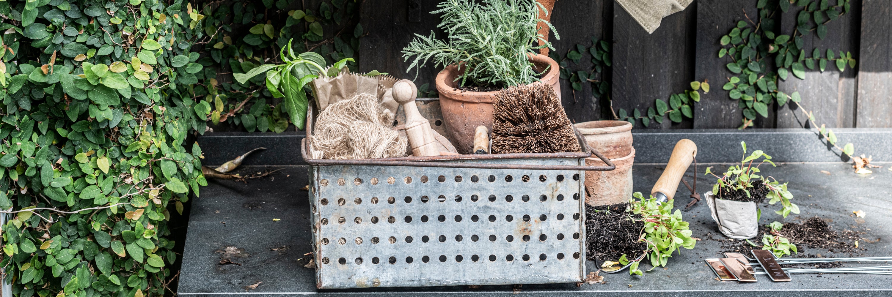 Shop All Garden