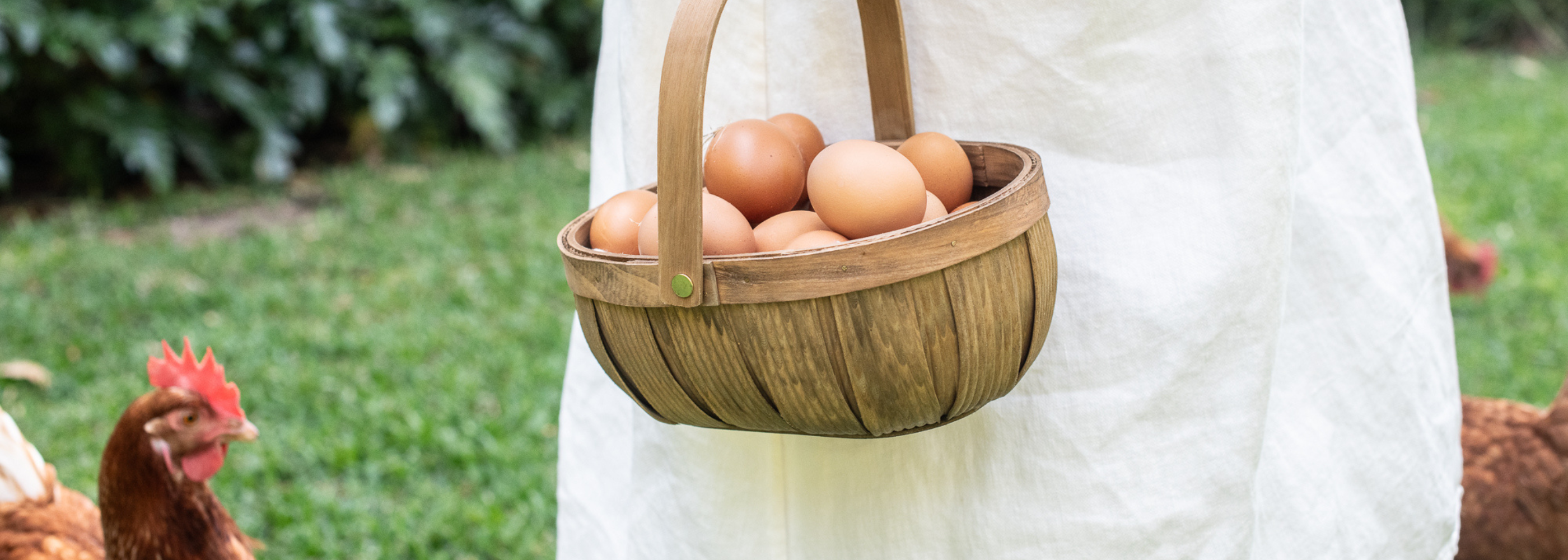 Garden Storage & Carry