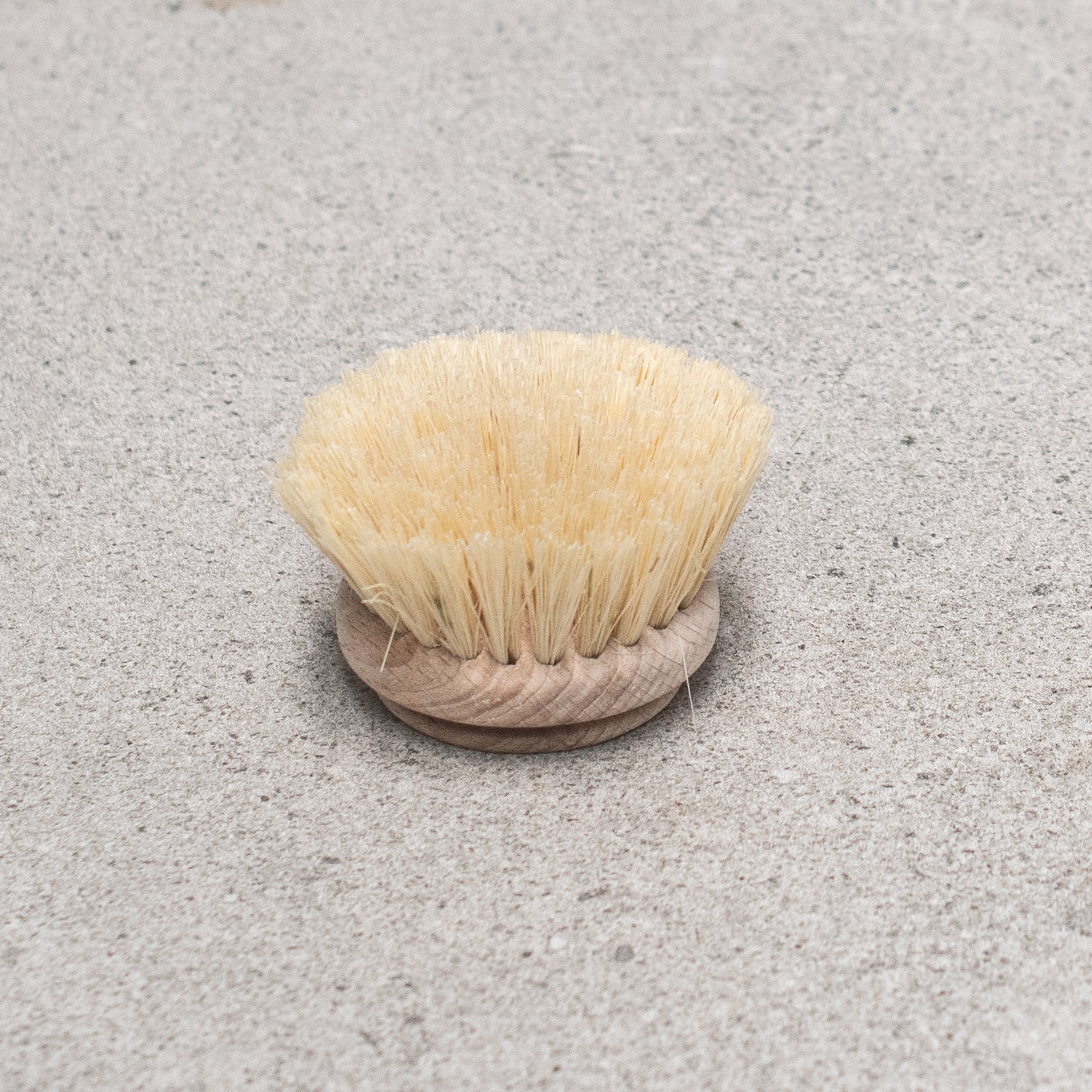 german made Dish Brush Replacement Head - Heaven in Earth 50mm