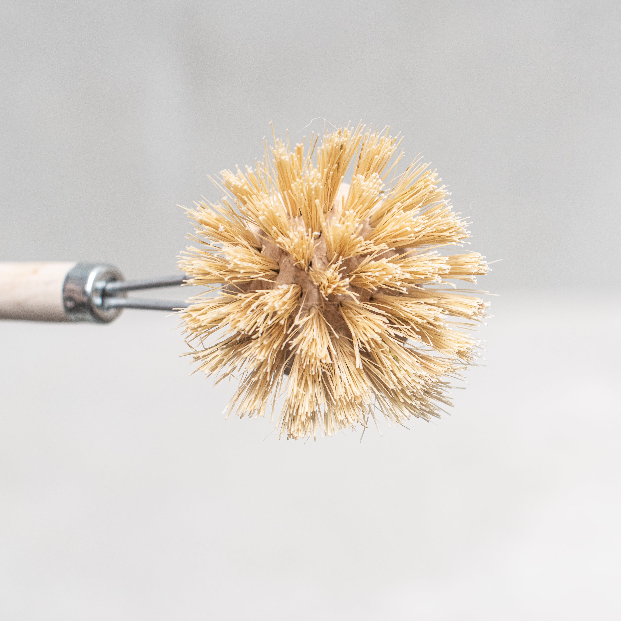 Heaven In Earth (HIE) wooden German made dish brush 40mm