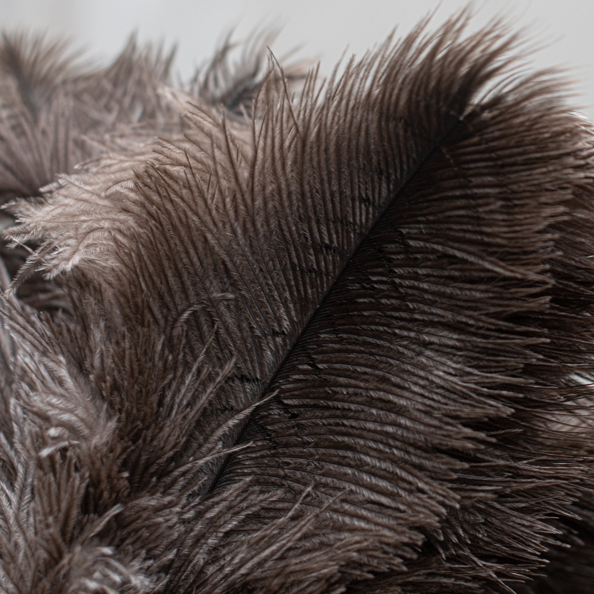 South African-made ostrich feather duster by Heaven in Earth (HIE), featuring soft, natural ostrich feathers that attract dust without spreading it. The lightweight wooden handle makes it easy to use, offering an elegant, eco-friendly solution for gentle, effective cleaning
