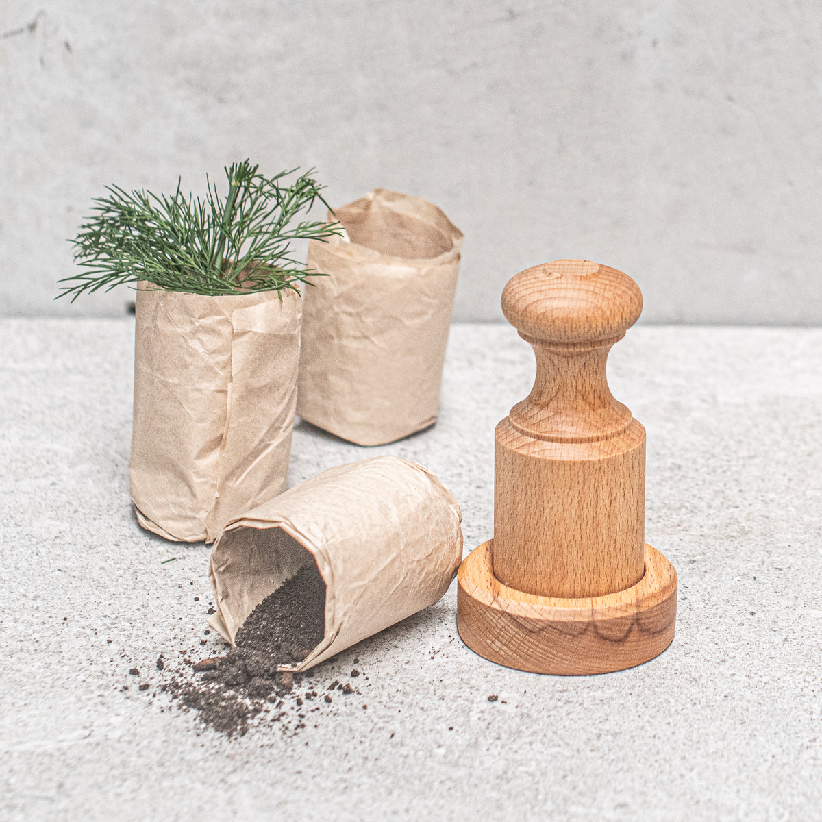 plant pot press Paper Pot Press | Simple Pot Maker for Seed Starting - Heaven In Earth