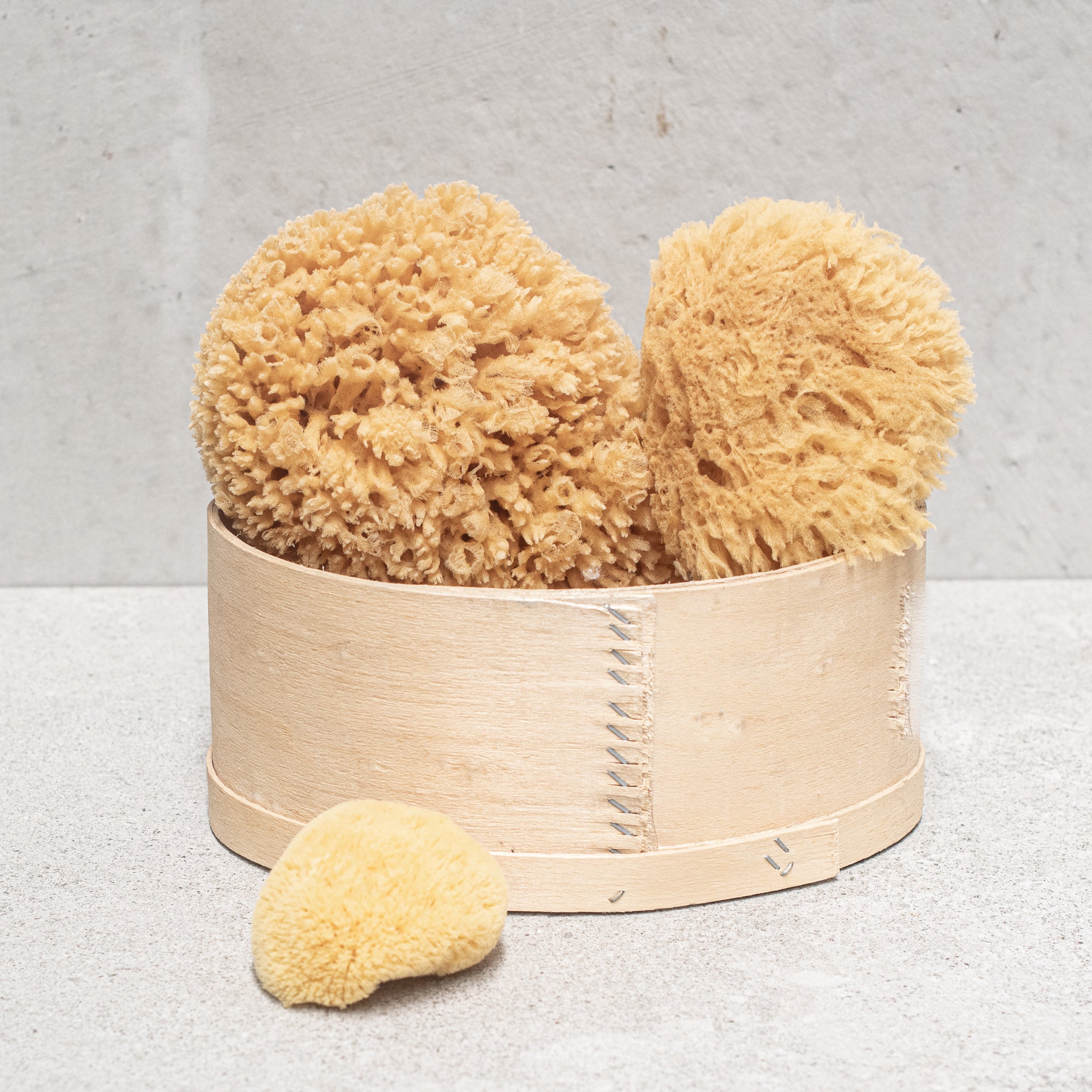 Natural Sponge - Heaven in Earth