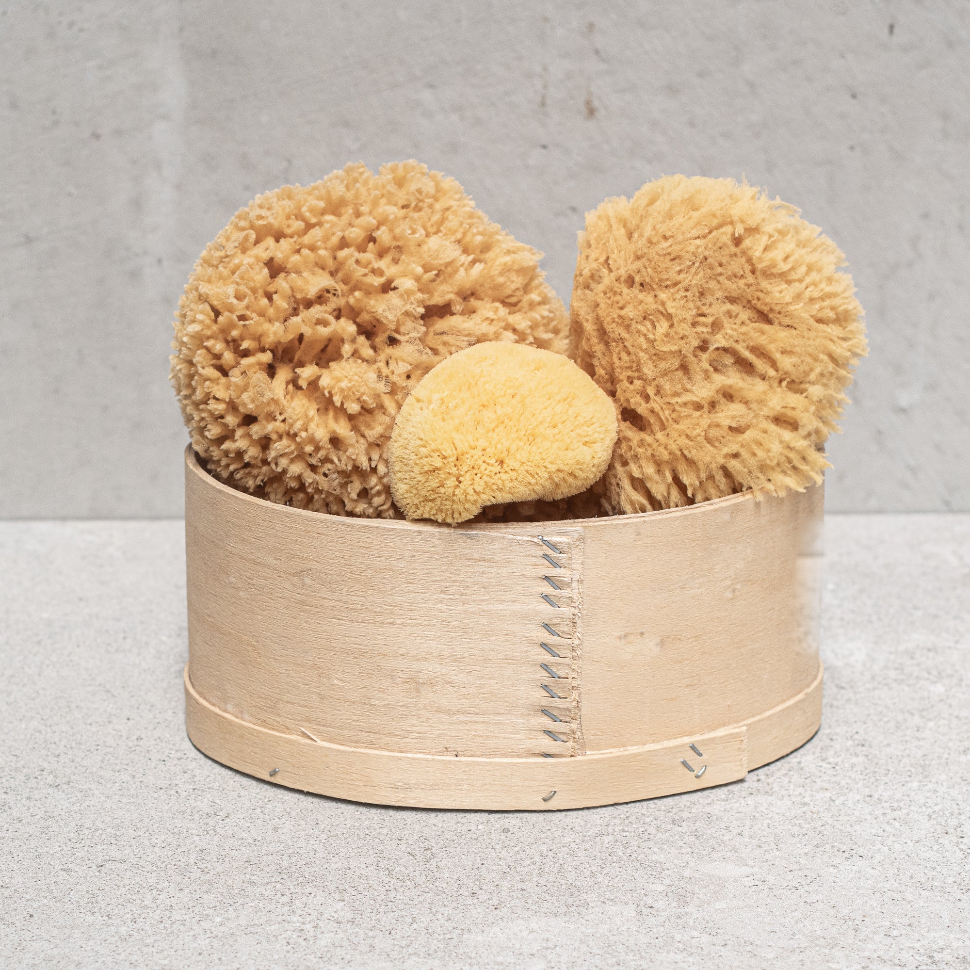 Natural Sponge - Heaven in Earth by croll & denecke
