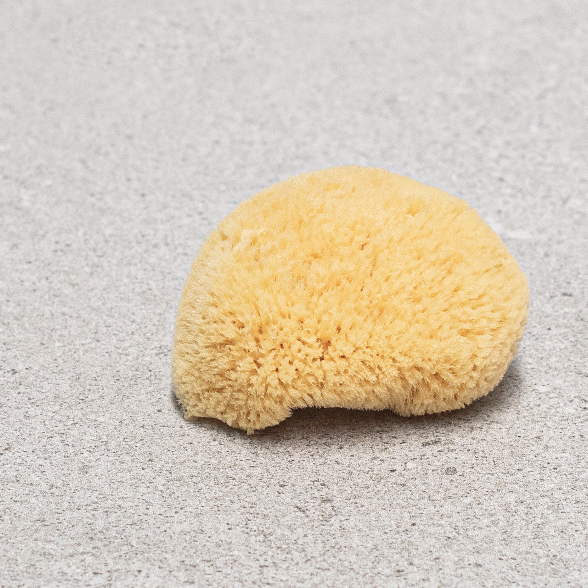 Natural Silk Sponge - Heaven in Earth small by croll & denecke