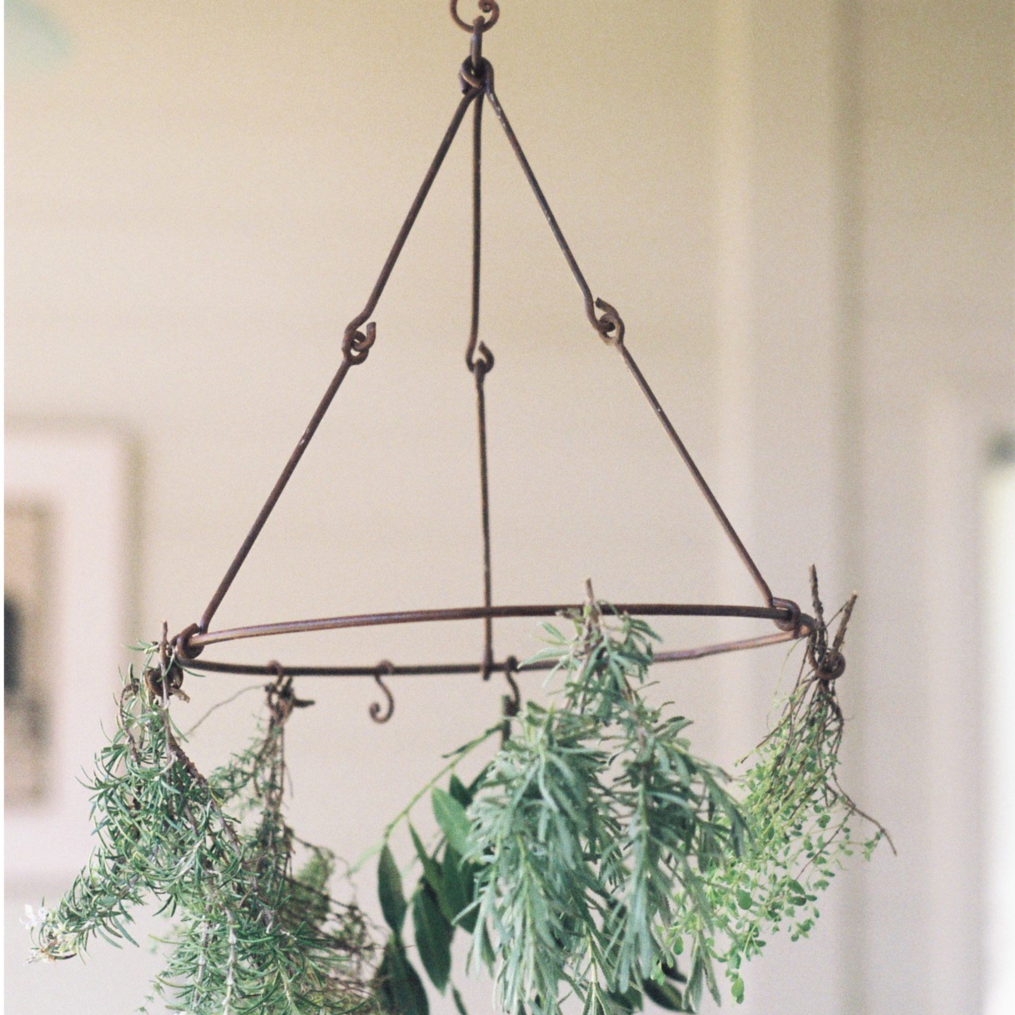 Space Saving Herb Dryer  Herb drying racks, Window herb garden