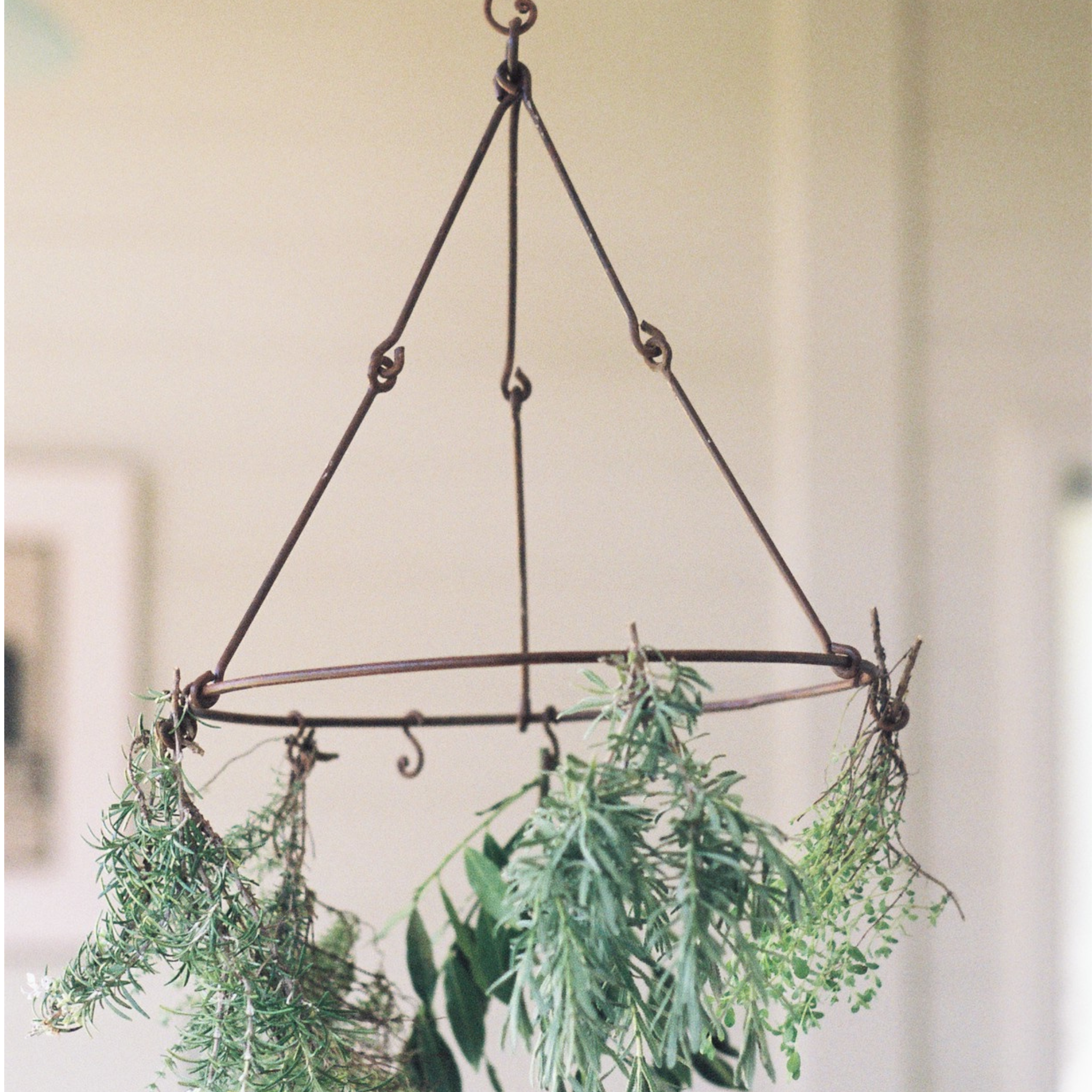 heaven in earth metal herb dryer