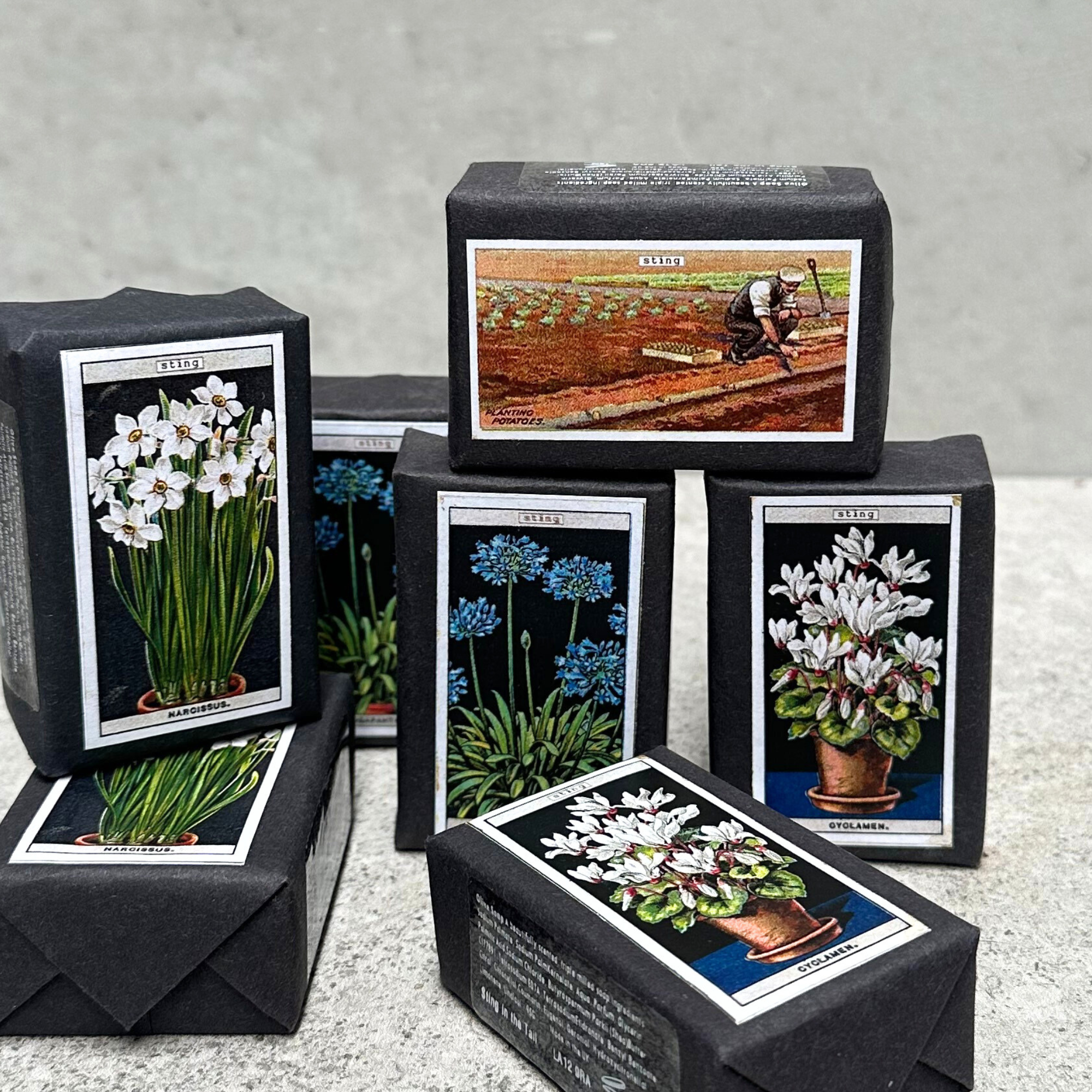 Heaven in Earth (HIE) delightful gardener's triple-milled olive soap, hand-packaged with charming images of various potted plants on the front and a planting description on the back. Made by Sting in the Tail, UK, this soap is gentle on the skin and perfect for gardeners, leaving hands soft and clean after a day in the soil