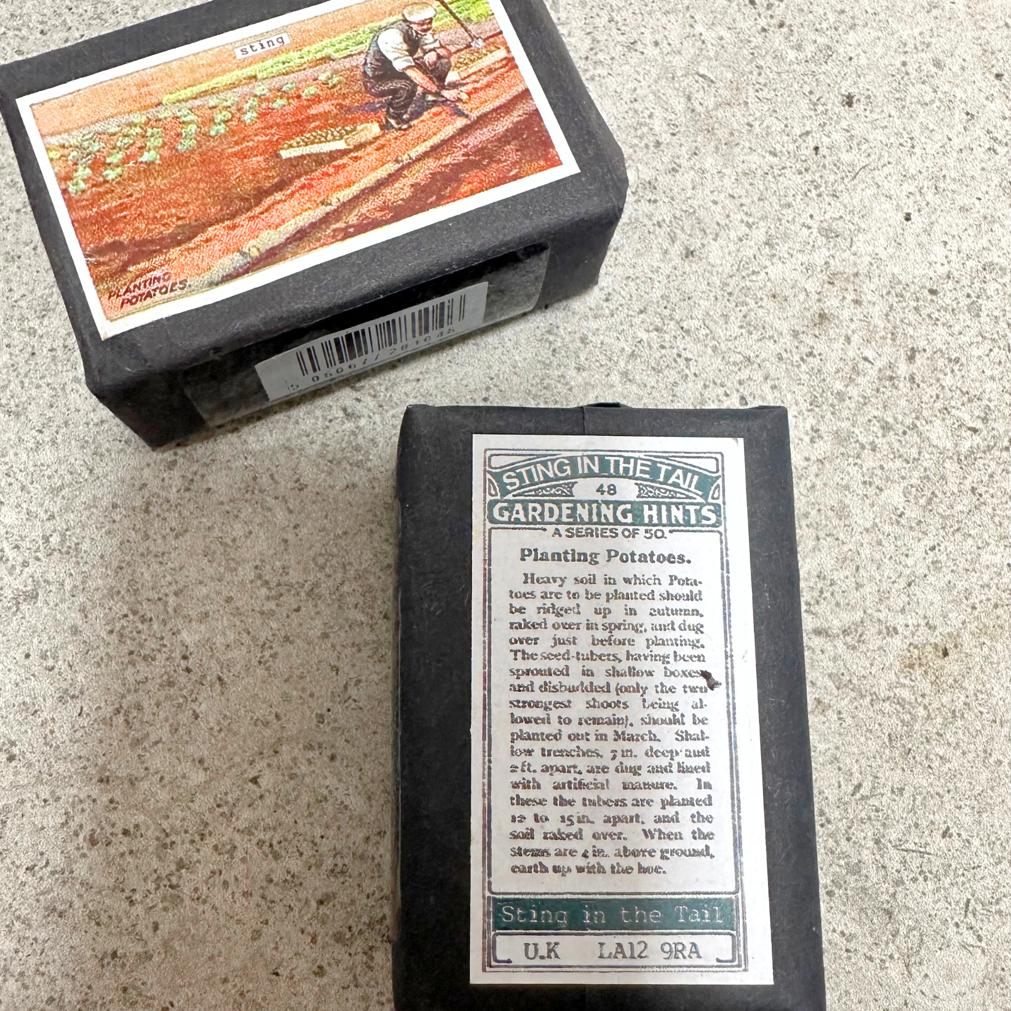 Heaven in Earth (HIE) delightful gardener's triple-milled olive soap, hand-packaged with charming images of various potted plants on the front and a planting description on the back. Made by Sting in the Tail, UK, this soap is gentle on the skin and perfect for gardeners, leaving hands soft and clean after a day in the soil