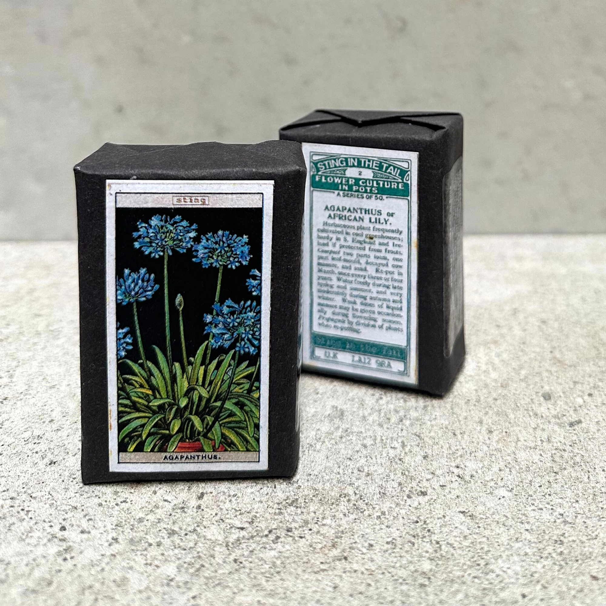 Heaven in Earth (HIE) delightful gardener's triple-milled olive soap, hand-packaged with charming images of various potted plants on the front and a planting description on the back. Made by Sting in the Tail, UK, this soap is gentle on the skin and perfect for gardeners, leaving hands soft and clean after a day in the soil