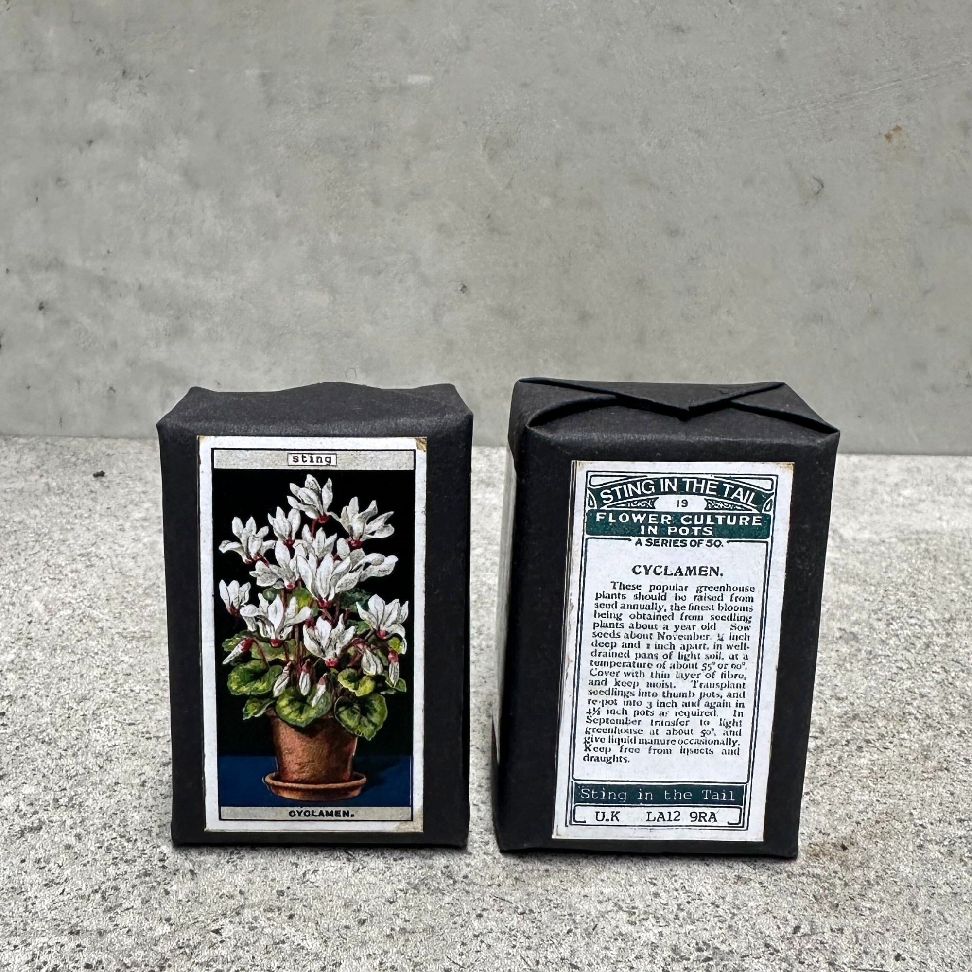 Heaven in Earth (HIE) delightful gardener's triple-milled olive soap, hand-packaged with charming images of various potted plants on the front and a planting description on the back. Made by Sting in the Tail, UK, this soap is gentle on the skin and perfect for gardeners, leaving hands soft and clean after a day in the soil