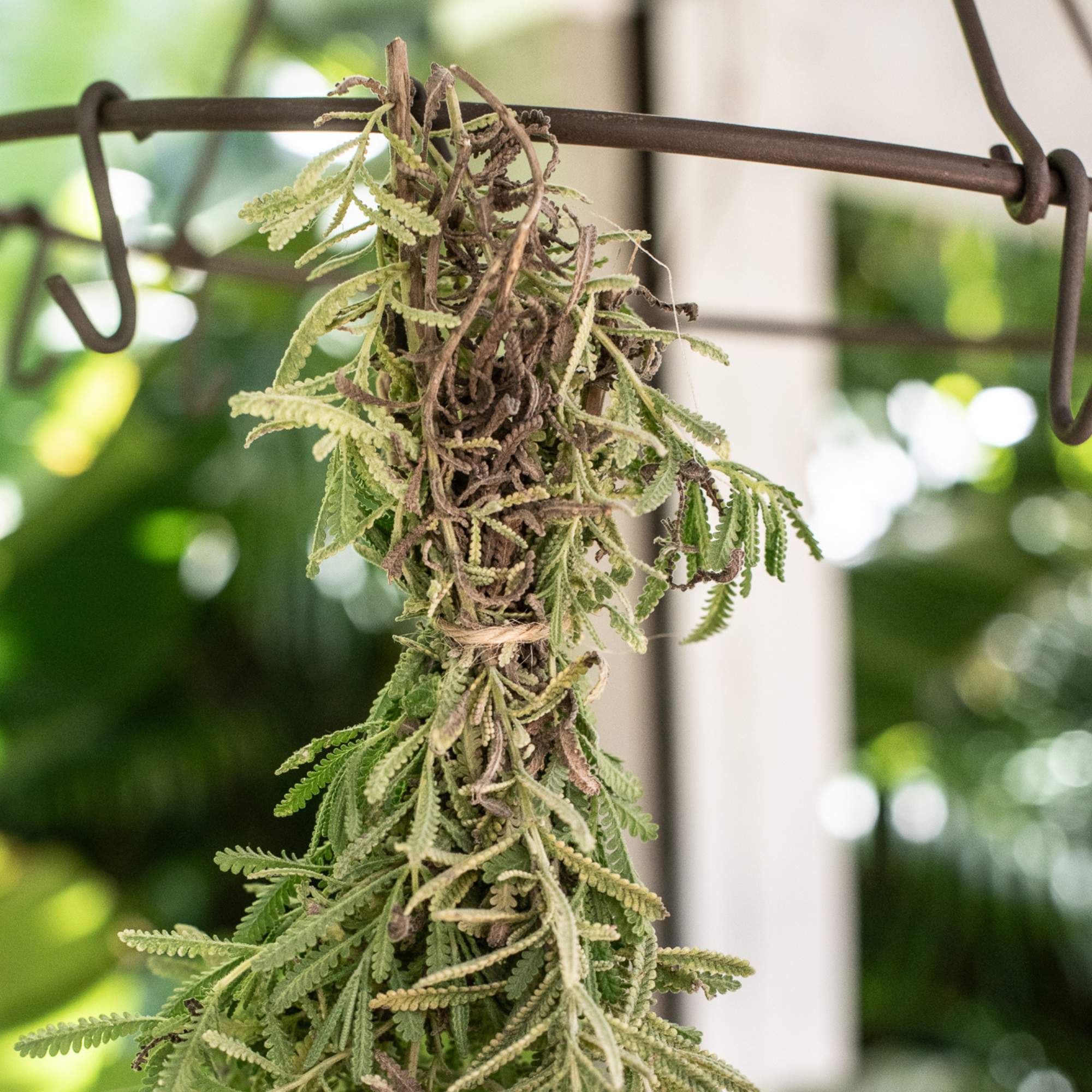 Metal herb dryer hanging herb drying rack