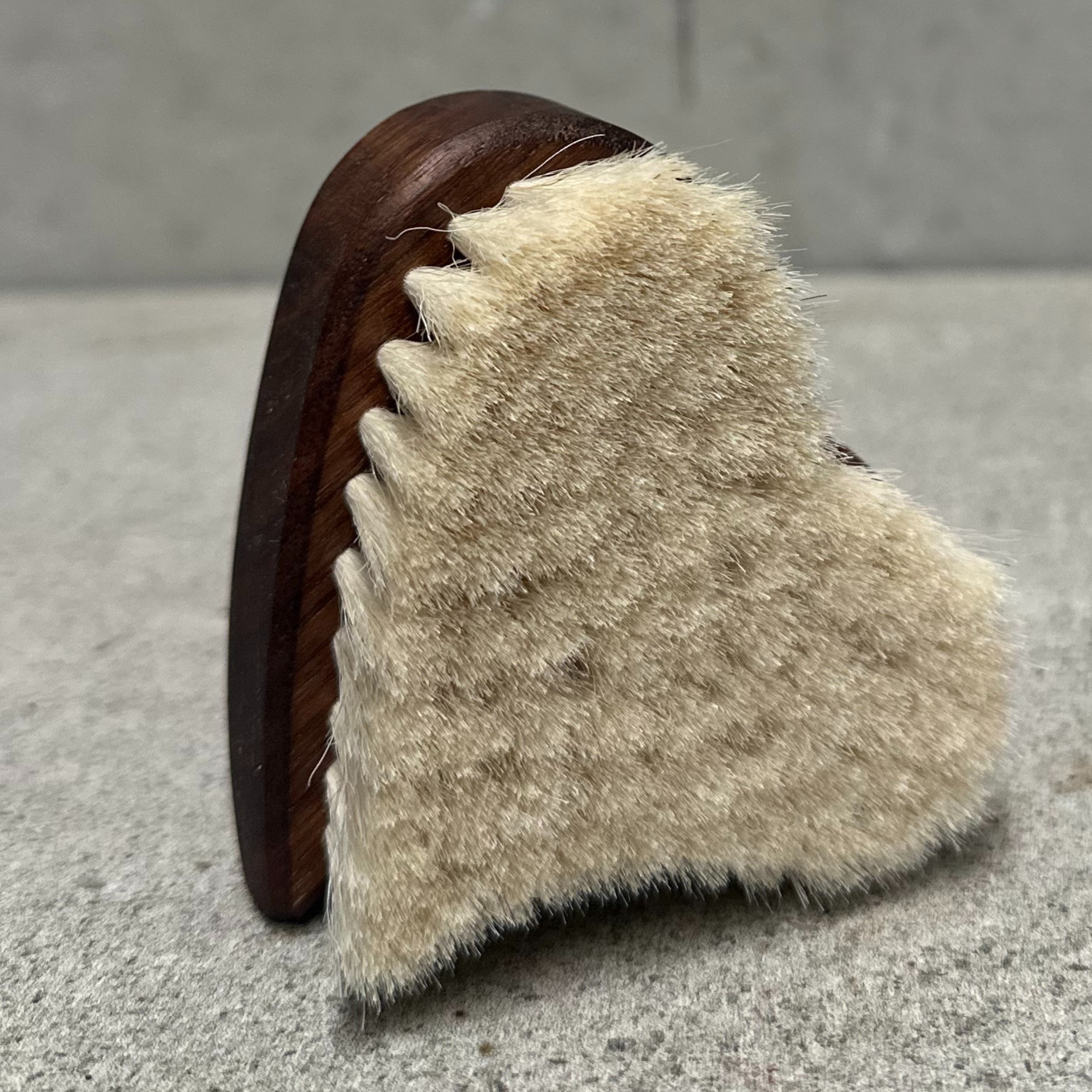 Baby Brush Heart Nutwood