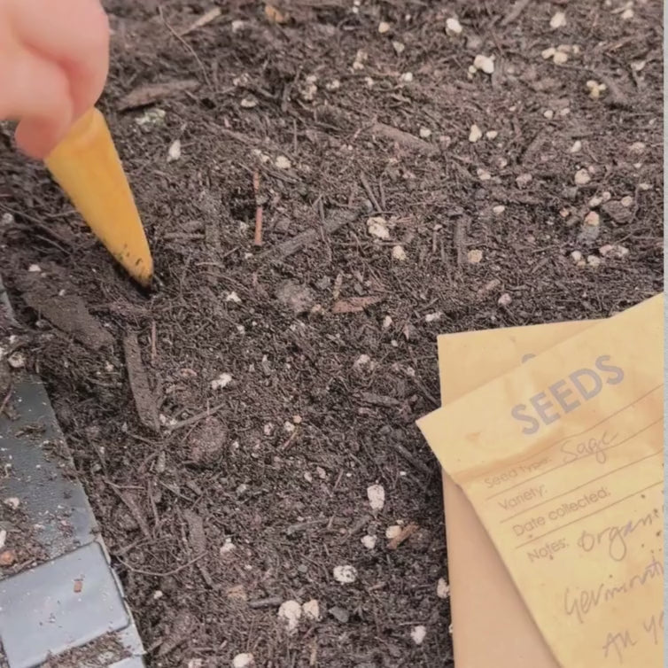 Introducing the Small Wooden Dibber from Heaven in Earth by Creamore Mill UK—an essential tool for any gardener looking to sow seeds with precision and care. Crafted from high-quality, sustainable wood, this dibber embodies a blend of functionality and natural beauty.
Its compact design makes it easy to handle, allowing you to create perfectly spaced holes in your garden beds or pots for planting seeds or bulbs.