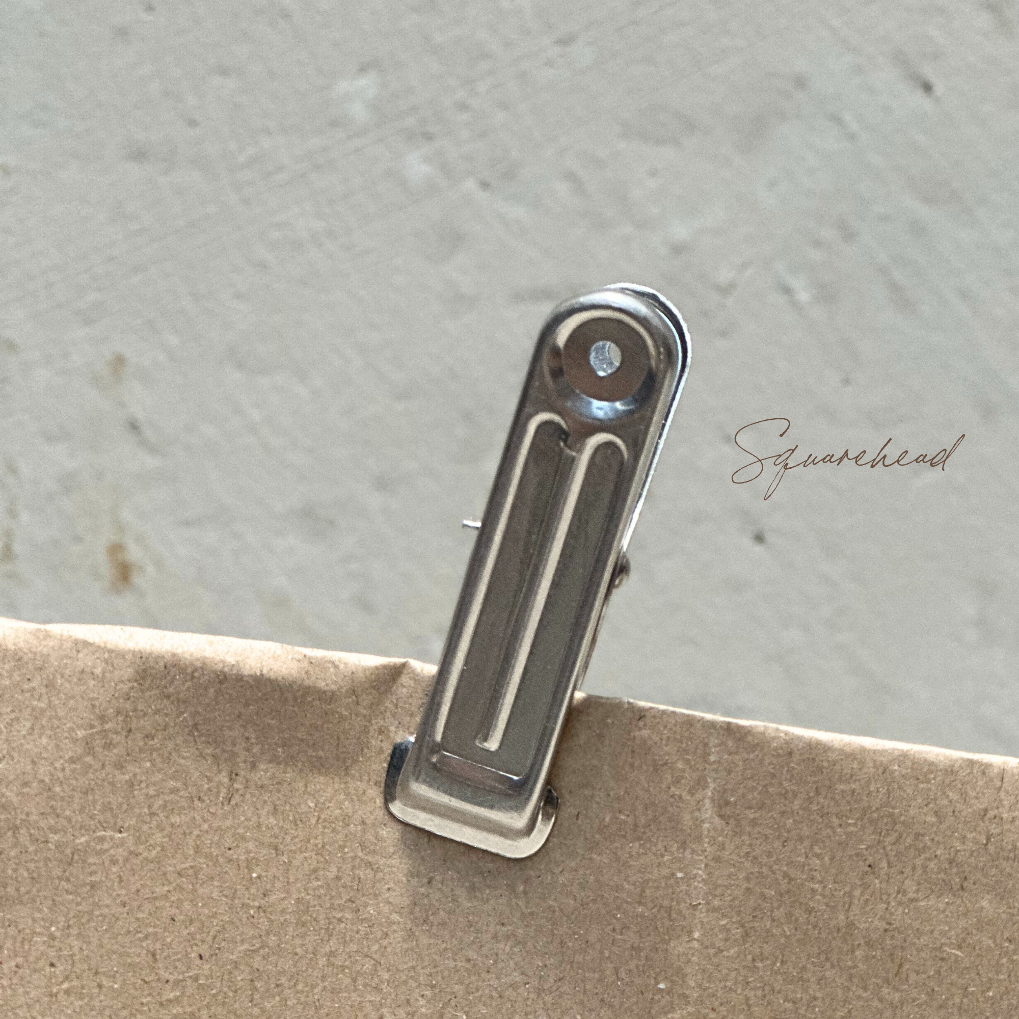 Laundry / Multi Purpose Aluminium Pegs - Set of 20