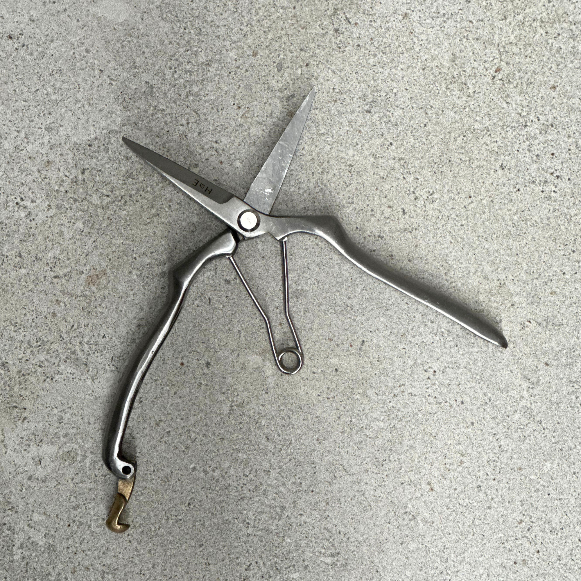 Stainless steel garden snips with sharp pointed blades open