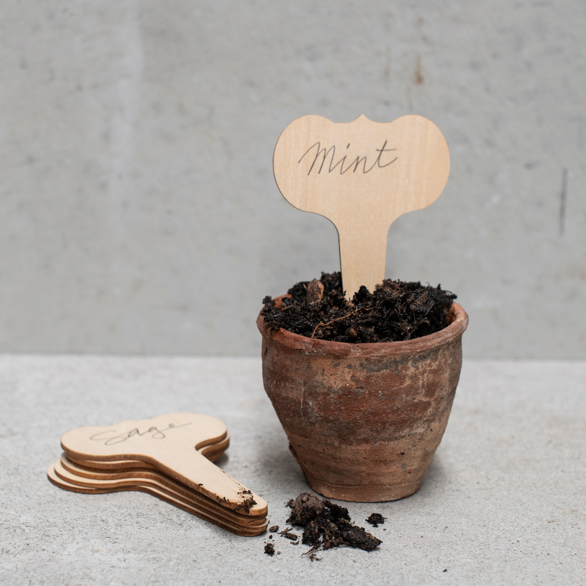 Wide Face Wood Plant Labels