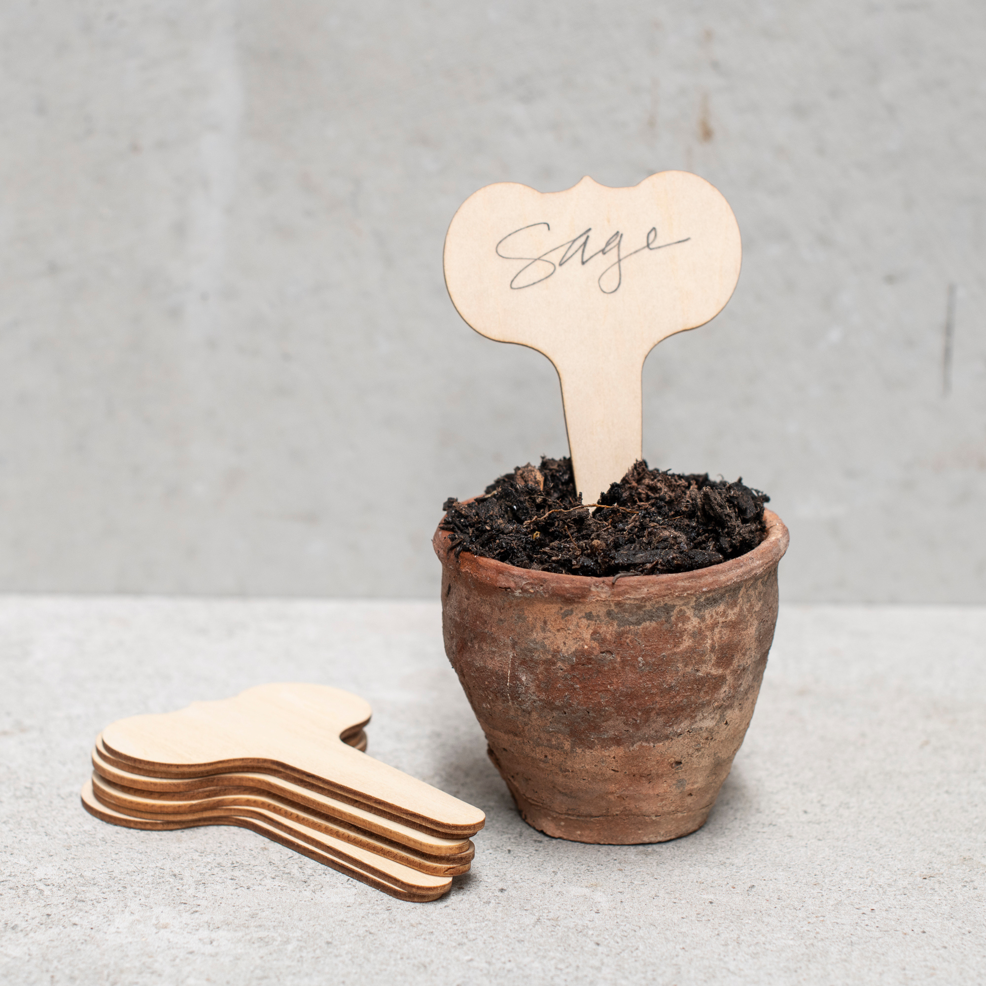 Wide Face Wood Plant Labels
