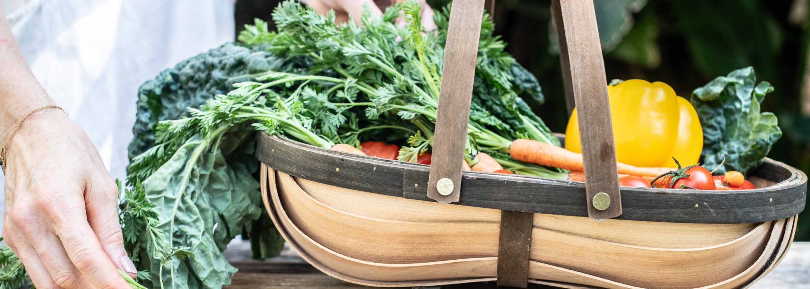 Garden to Kitchen | Harvest, Prepare & Cook Naturally