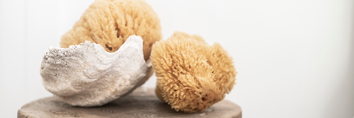 Natural Sponges | Gentle Bath & Body Cleansing Tools - Heaven In Earth ...