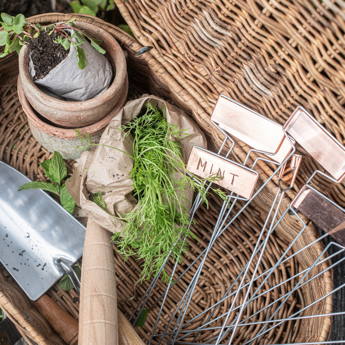 Copper Planting Labels | Reusable Garden & Pot Markers - Heaven In ...