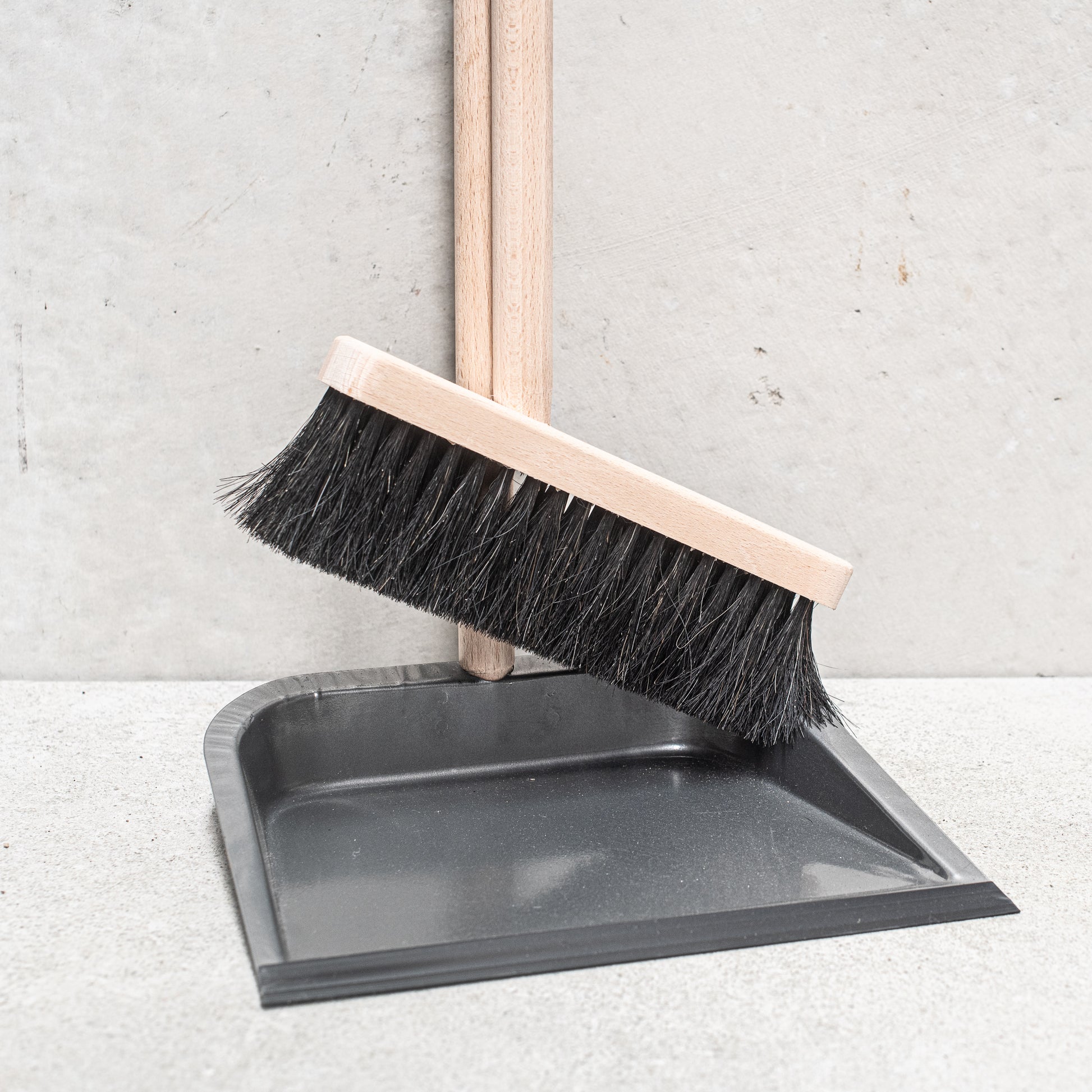 dustpan and brush with long handle