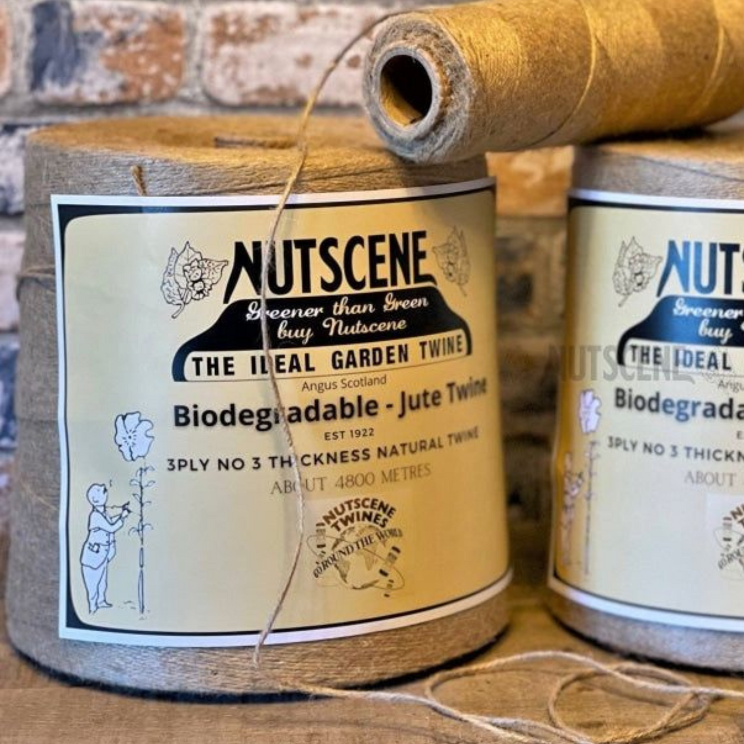 giant nutscene twine