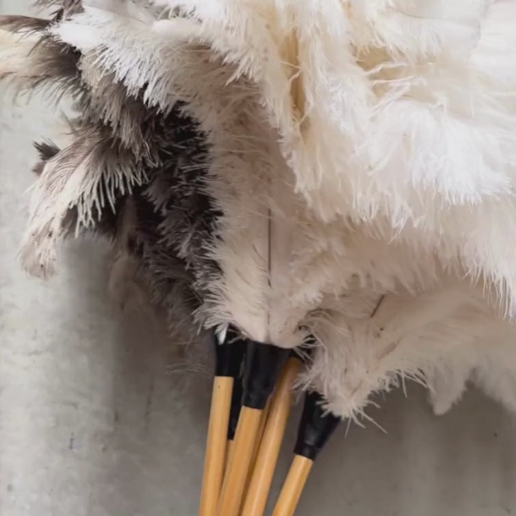 South African-made ostrich feather duster by Heaven in Earth (HIE), featuring soft, natural ostrich feathers that attract dust without spreading it. The lightweight wooden handle makes it easy to use, offering an elegant, eco-friendly solution for gentle, effective cleaning