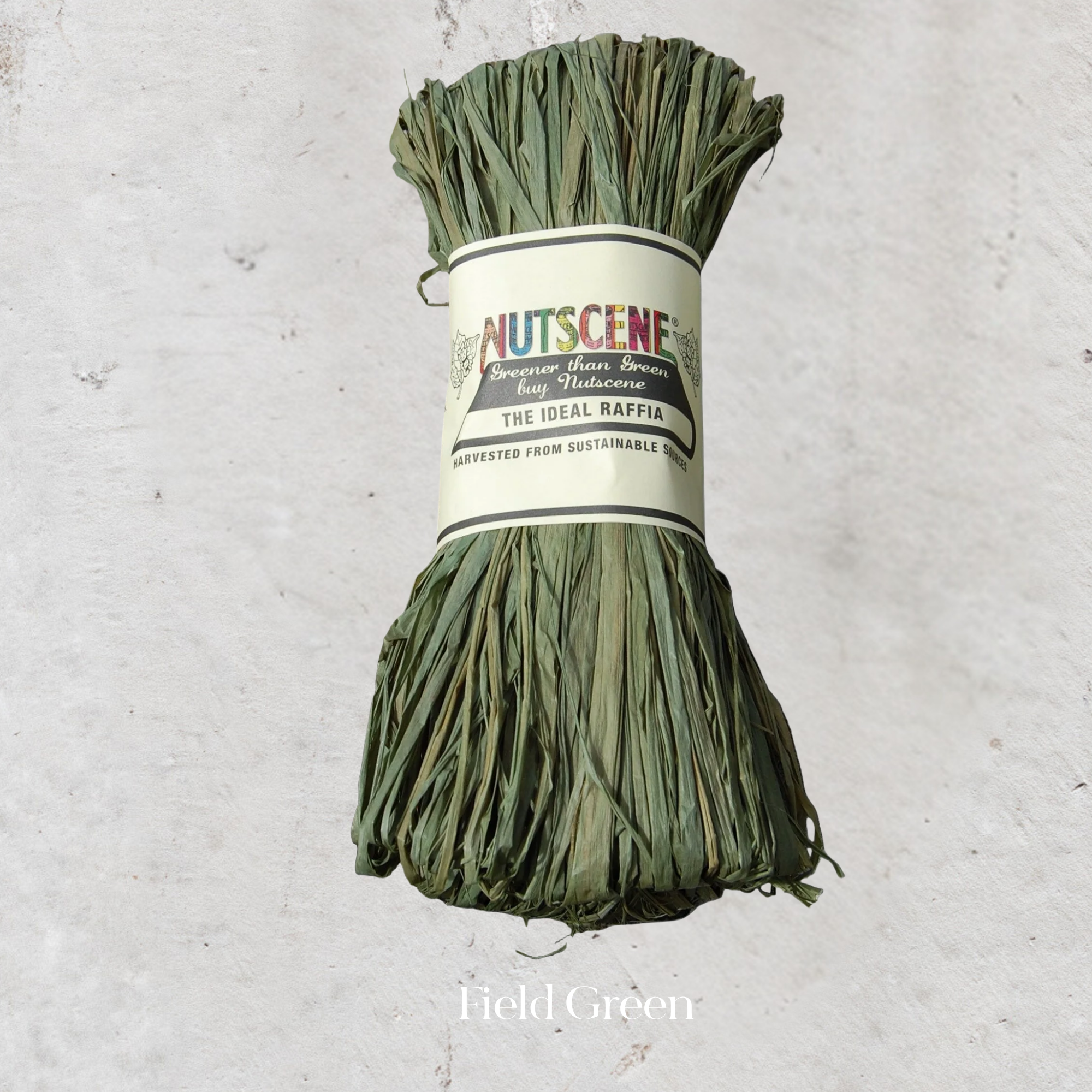 Raffia | Assorted Colours