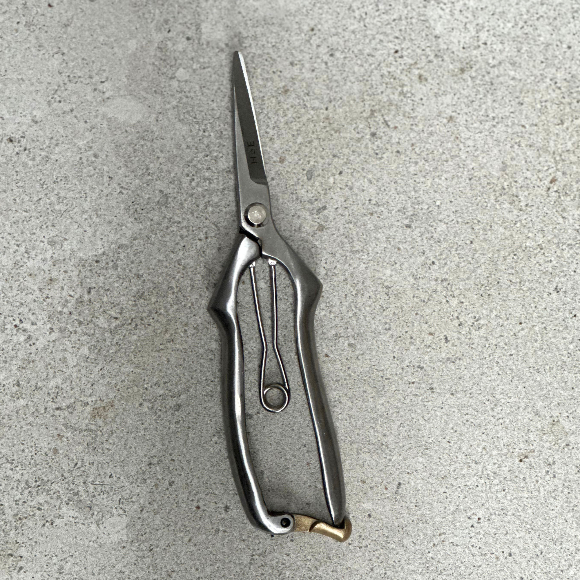 Close up of pointed stainless steel snips blade detail
